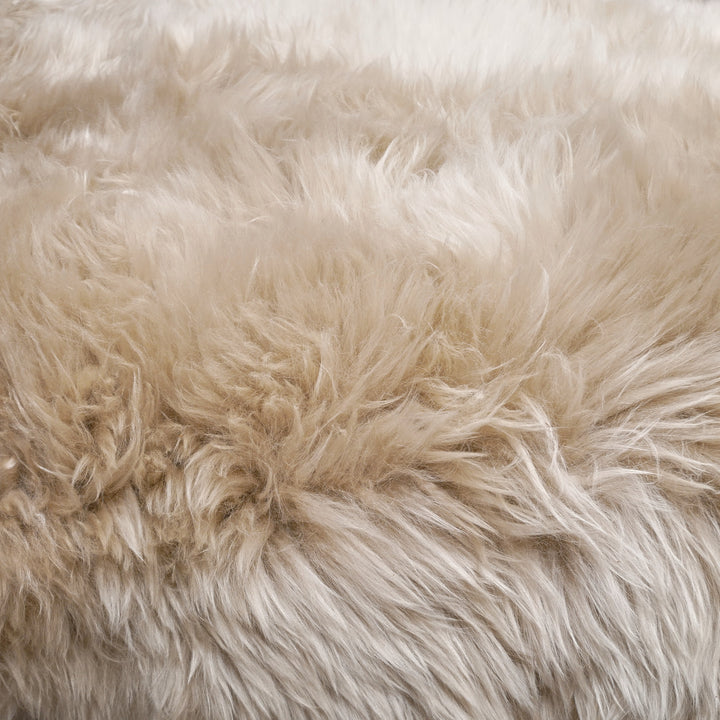 detailed view of sheepskin texture and colour